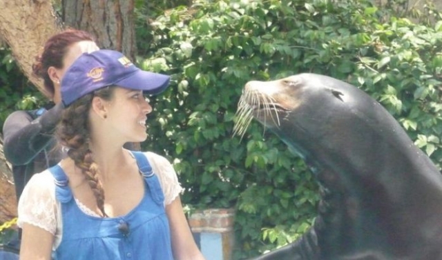  Seal show 